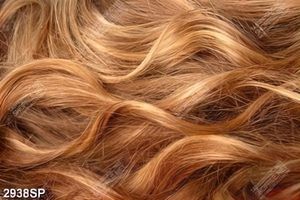 Tranh canvas mái tóc vàng gợn sóng