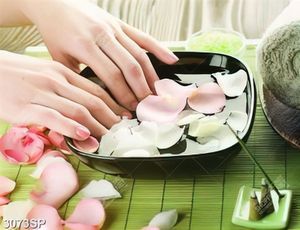 Tranh những cánh hoa tươi