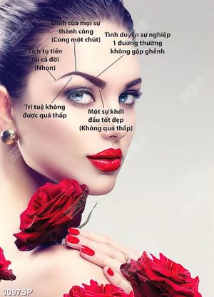Tranh psd lông mày phong thủy treo tường spa