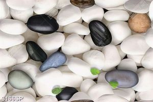 Tranh canvas những viên sỏi trắng treo spa