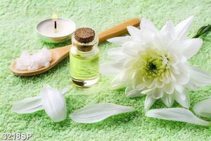 Tranh hoa cúc trắng và tinh dầu treo tường spa