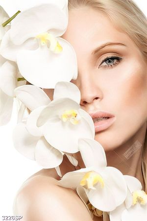 Tranh spa người đẹp bên nhành lan trắng