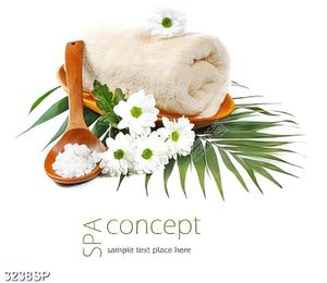 Tranh canvas bông hoa cúc trắng và muối spa
