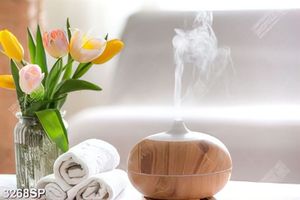Tranh lọ hoa tulip bên bình xông hơi
