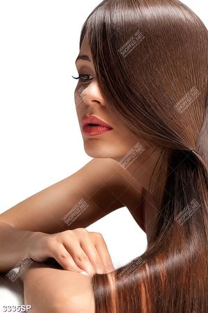 Tranh người mẫu tóc