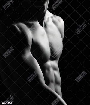 Tranh treo spa body nam tính nghệ thuật