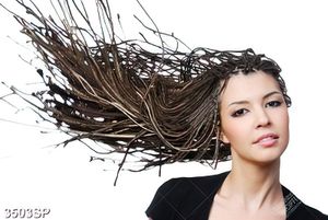 Tranh cô gái xinh đẹp với mái tóc tết