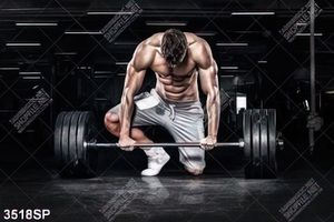 Tranh anh chàng đẩy tạ khoe body 6 múi