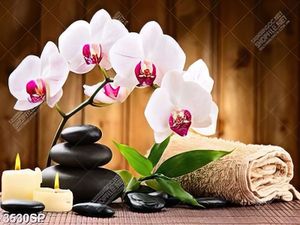 Tranh hoa lan hồ điệp treo spa