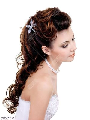 Tranh cô dâu mặc váy trắng