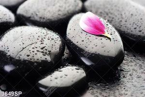 Tranh đá đen treo spa