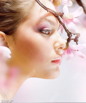 Tranh người đẹp bên cành hao anh đào