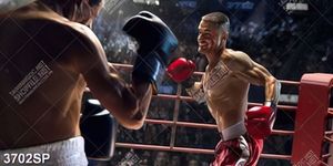 Tranh hai võ sỹ boxing thi đấu