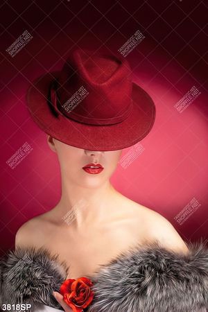 Tranh quý cô với chiếc váy lông quyến rũ
