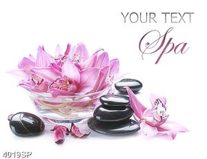 Tranh hoa lan và đá đen trang trí spa