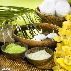 Tranh hoa lan và muối đá spa