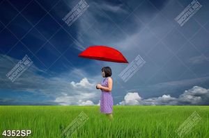 Tranh cô gái trẻ đứng giữa cánh đồng cỏ