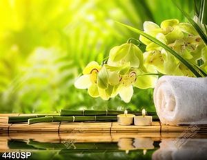 Tranh khăn trắng và hoa lan