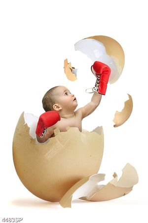 Tranh cậu bé dễ thương ngồi trong quả trứng