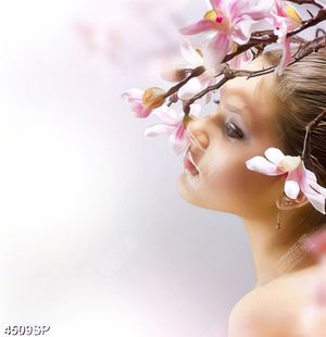 Tranh người đẹp bên cành hoa anh đào