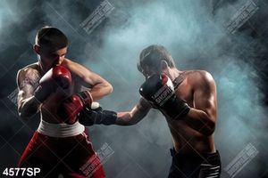 Tranh hai võ sỹ tập boxing