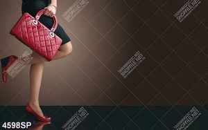 Tranh cô gái cầm túi xách đỏ