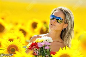 Tranh cô gái đứng giữa cánh đồng hoa hướng dương
