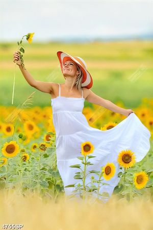 Tranh cô gái đứng giữa cánh đồng hoa hướng dương