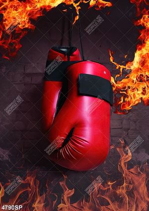 Tranh găng tay tập boxing
