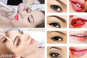 Tranh xăm mày phun môi treo spa in file gốc