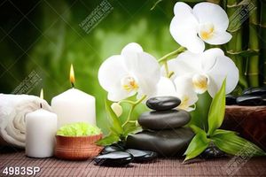 Tranh hoa lan trắng và ngọn nến