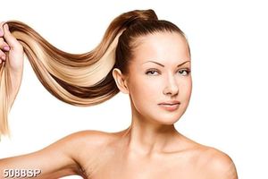 Tranh treo tường spa thảo mộc thiên nhiên