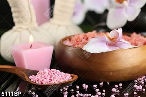 Tranh treo tường spa thảo mộc thiên nhiên