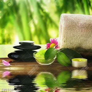 Tranh treo tường spa thảo mộc thiên nhiên