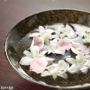 Tranh những bông hoa nhỏ trong tô nước