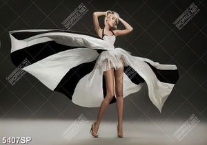 Tranh người đẹp xòe vay