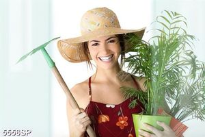 Tranh cô gái bưng chậu cây