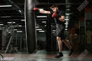 Tranh tập luyện với bao cát đấm