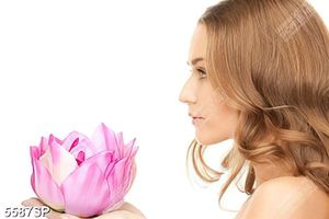 Tranh cô gái cầm hoa sen hồng