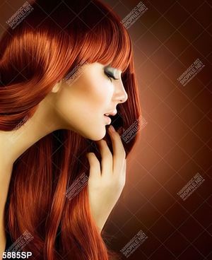 Tranh SP5885 người mẫu tóc 