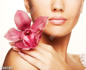 Tranh người đẹp SP5897