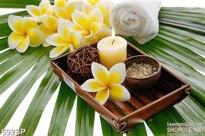 Tranh hoa sứ vàng và nến