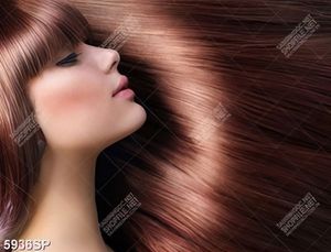 Tranh người mẫu tóc SP5936