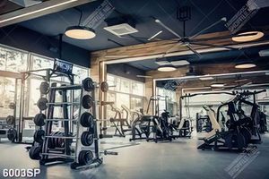 Tranh trung tâm tập luyện thể thao