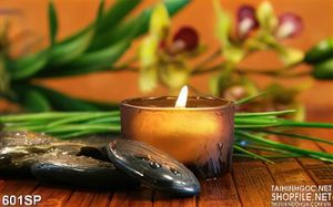 Tranh sản phẩm massage spa mới nhất