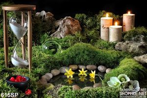 Tranh in tường spa mới nhất
