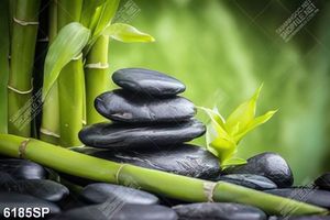 Tranh những viên đá đen