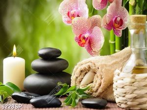 Tranh file gốc cành hoa lan và đá đen 