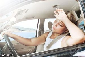Tranh cô gái ngồi trong xe ô tô SP6254