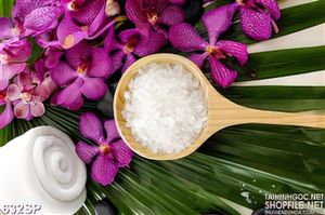 Tranh in spa hoa và đá muối